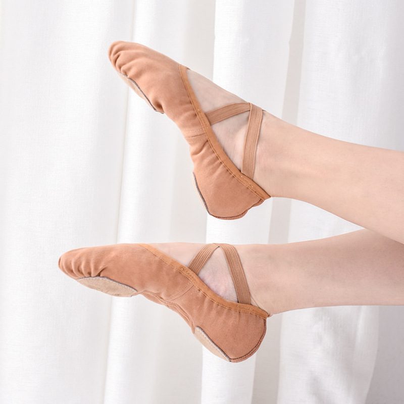 Belly Dancer Shoes For Ladies 4 Colors Belly Dancer Shoes For Ladies 4 Colors